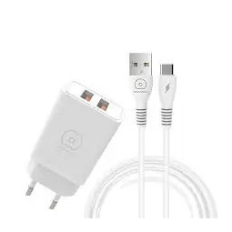 Chargeur WUW-T55 TypeC 3.1A