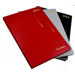 AGENDA 21*29.7 PIERRE...