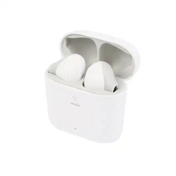 SWINGSON BUDS WHITE