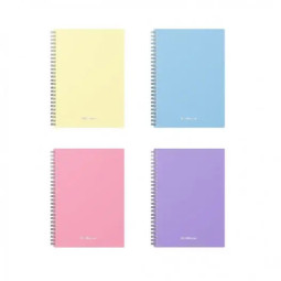 CARNET notebook...