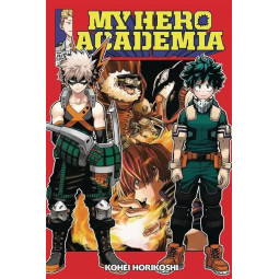 MY HERO ACADEMIA, VOL. 13 