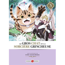 Le gros chat et la sorciere...
