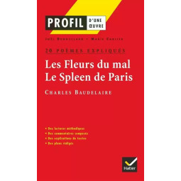 PROFIL FLEURS DU MAL SPLEEN...