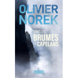 DANS LES BRUMES DE CAPELANS