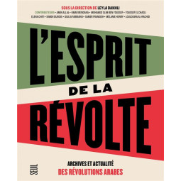 L'ESPRIT DE LA REVOLTE....