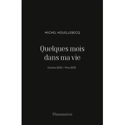 QUELQUES MOIS DANS MA VIE...