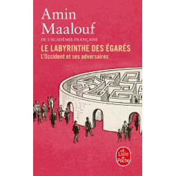 Le Labyrinthe des égarés :...