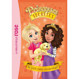 PRINCESSES SECRETES 05...