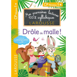 Drôle de malle ! - CP niveau 1