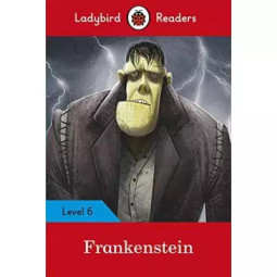 LADYBIRD READERS LEVEL 6...