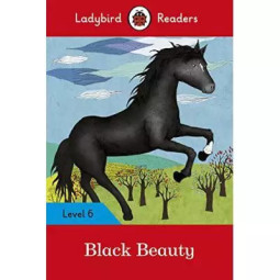 LADYBIRD READERS LEVEL 6...