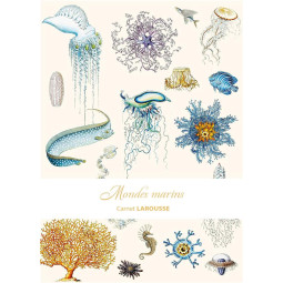 CARNET LAROUSSE - MONDES...