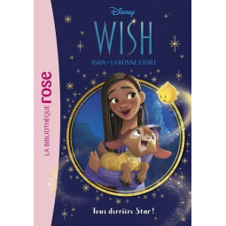 Wish, Asha et la bonne...