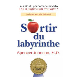 SORTIR DU LABYRINTHE...