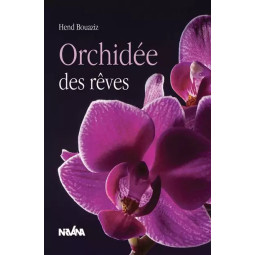 ORCHIDEE DES REVES