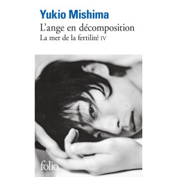 L'ANGE EN DECOMPOSITION