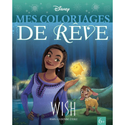 WISH, ASHA ET LA BONNE...